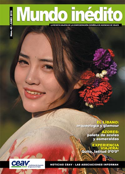 NÚMERO 43 (JUNIO 2019)